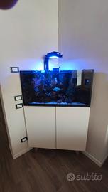 acquario Triangolare 120 litri 