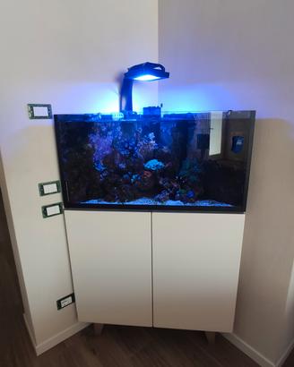 acquario Triangolare 120 litri 