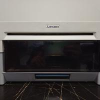 Stampante termica Mitsubishi CP-3800DW