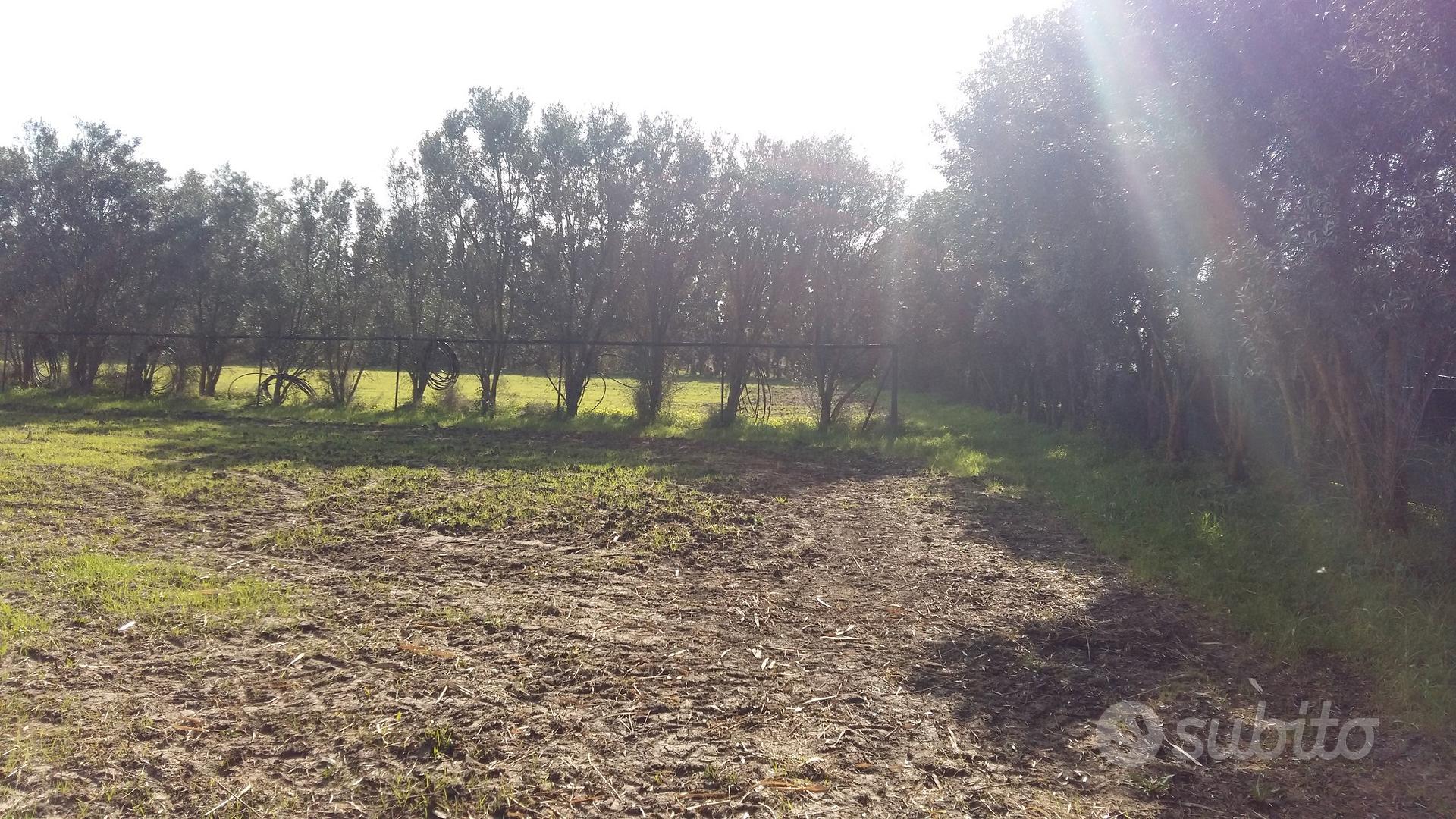 Terreno agricolo - Altro