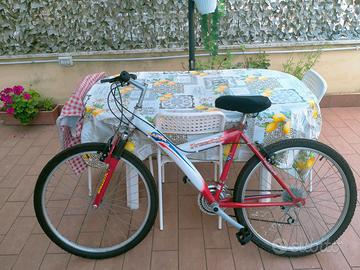 Mountain-bike 26 pollici