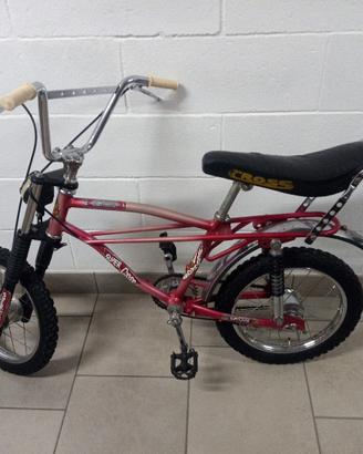 Bicicletta "Sauta Fos"