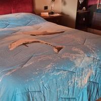 Trapunta per letto matrimoniale 