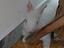 Immagine 2