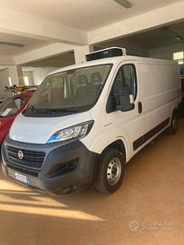 Fiat ducato frigo