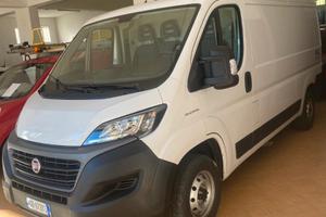 Fiat ducato frigo