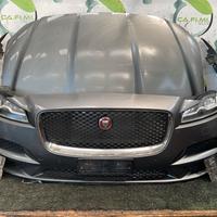 Musata Completa JAGUAR F-Pace Serie (16>)