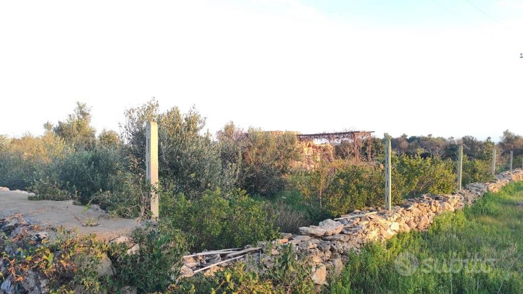 Rustico / Casale di 145 m² con 1 locale a Racale - Vista 3