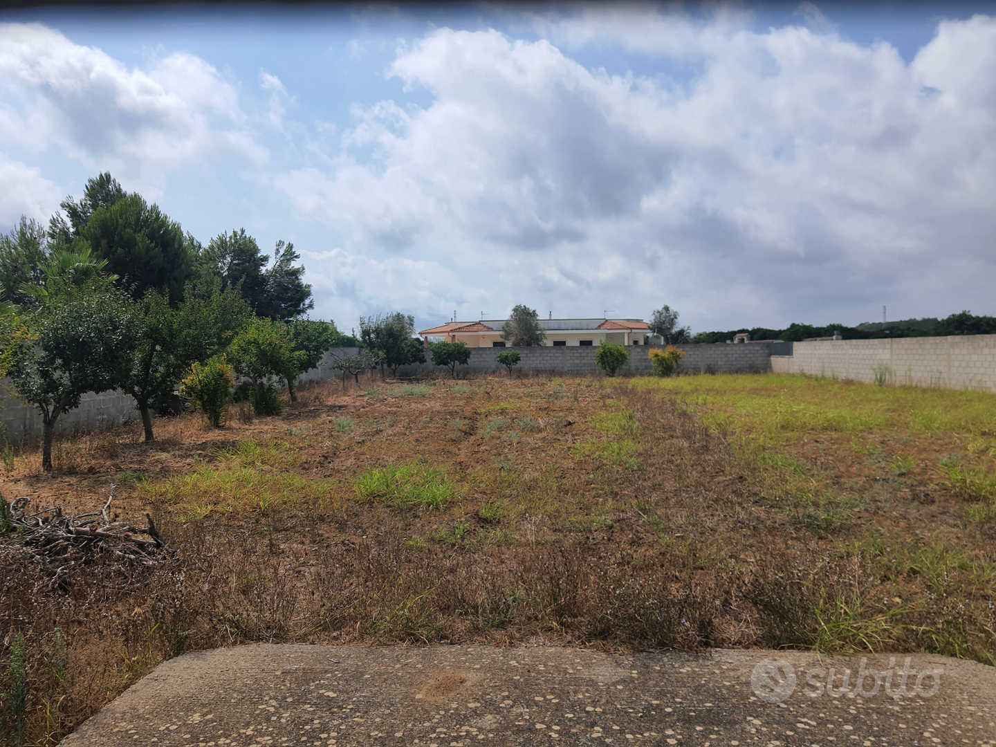 Terreno recintato con alberi da frutto - Vista 3