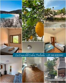 La casa del cedro a Teulada