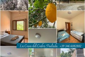 La casa del cedro a Teulada