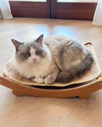 Cuccia amaca per gatti o cani piccoli