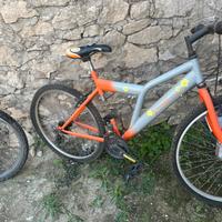 Bicicletta mtb