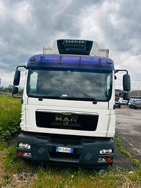 Motrice MAN Frigo Sponda