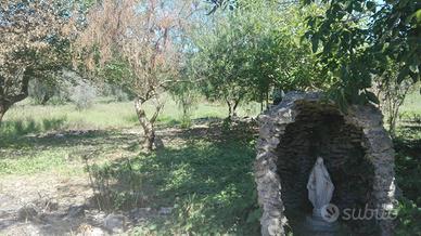 Cutrofiano loc. Metallo terreno 2200 mq S.P. 198
