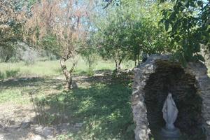 Cutrofiano loc. Metallo terreno 2200 mq S.P. 198