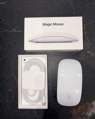 Apple Magic Mouse Bianco usb-c