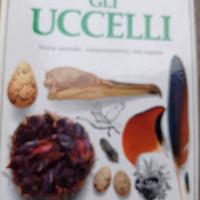 gli uccelli 