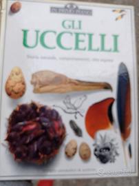 gli uccelli 