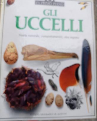 gli uccelli 