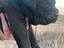 Immagine 3