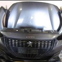 Peugeot 208 Muso Musata Frontale 1.5 hdi 2021