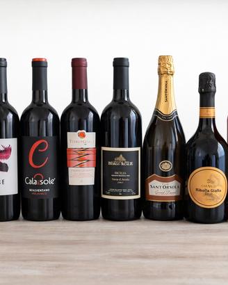 Lotto 9 bottiglie di vino – DOC, IGT, spumante e r