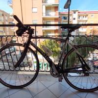 BICI PINARELLO TREVISO