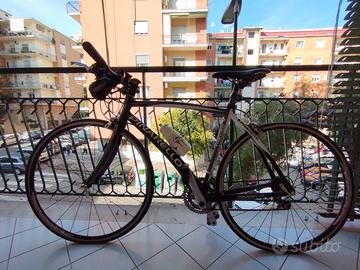 BICI PINARELLO TREVISO