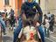 Immagine 2