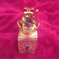 Gatto cinese portafortuna