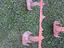 Immagine 3
