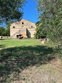 RUSTICO CON TERRENO