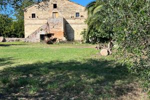RUSTICO CON TERRENO