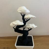 Bonsai 3D Personalizzabile