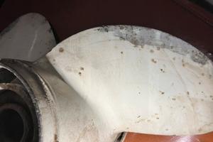 Elica per fuoribordo