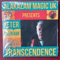 gioco di magia Transcendence