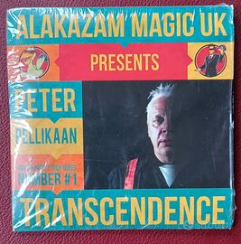 gioco di magia Transcendence