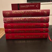 Anastasi tutti i volumi versione inglese