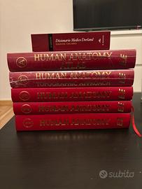 Anastasi tutti i volumi versione inglese