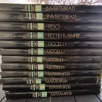 Enciclopedia illustrata “Il mondo degli animali”  