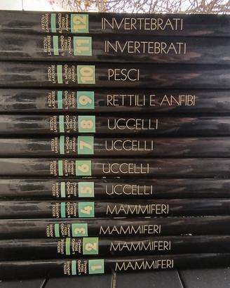 Enciclopedia illustrata “Il mondo degli animali”  
