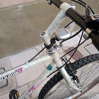 Mtb Touring Bianchi anni 90 acciaio