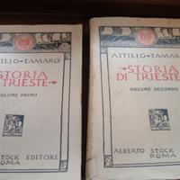 ANTICO LIBRO STORIA DI TRIESTE