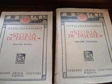 ANTICO LIBRO STORIA DI TRIESTE