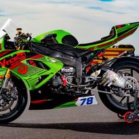 Carene da pista Kawasaki ZX6R 2009-2015