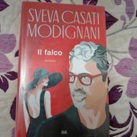 Libro di romanzo 
