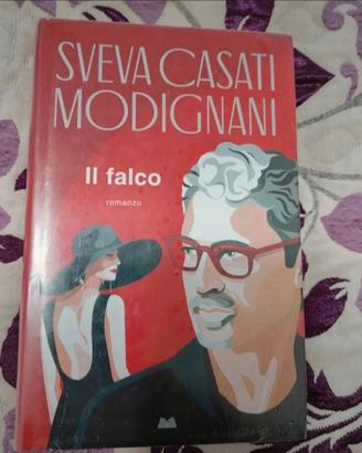 Libro di romanzo 