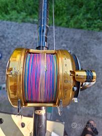 Penn 50 VSX 2 speed
