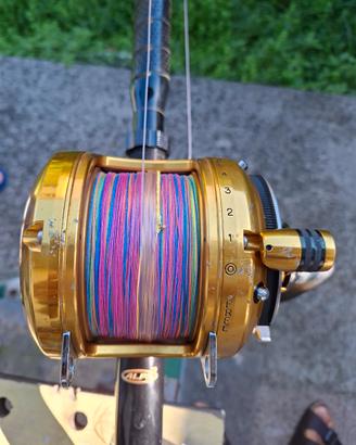 Penn 50 VSX 2 speed
